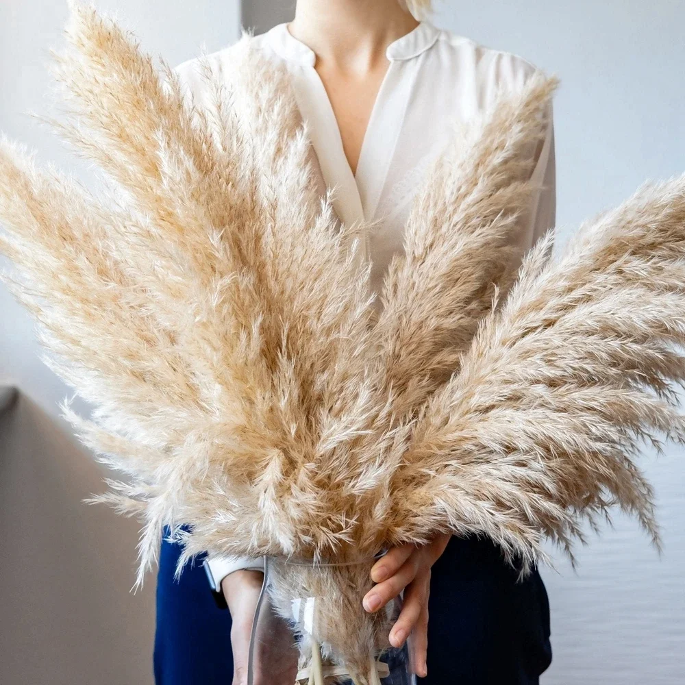 Dried Flower Bulk - 120cm - 130cm Fluffy Large Pampas