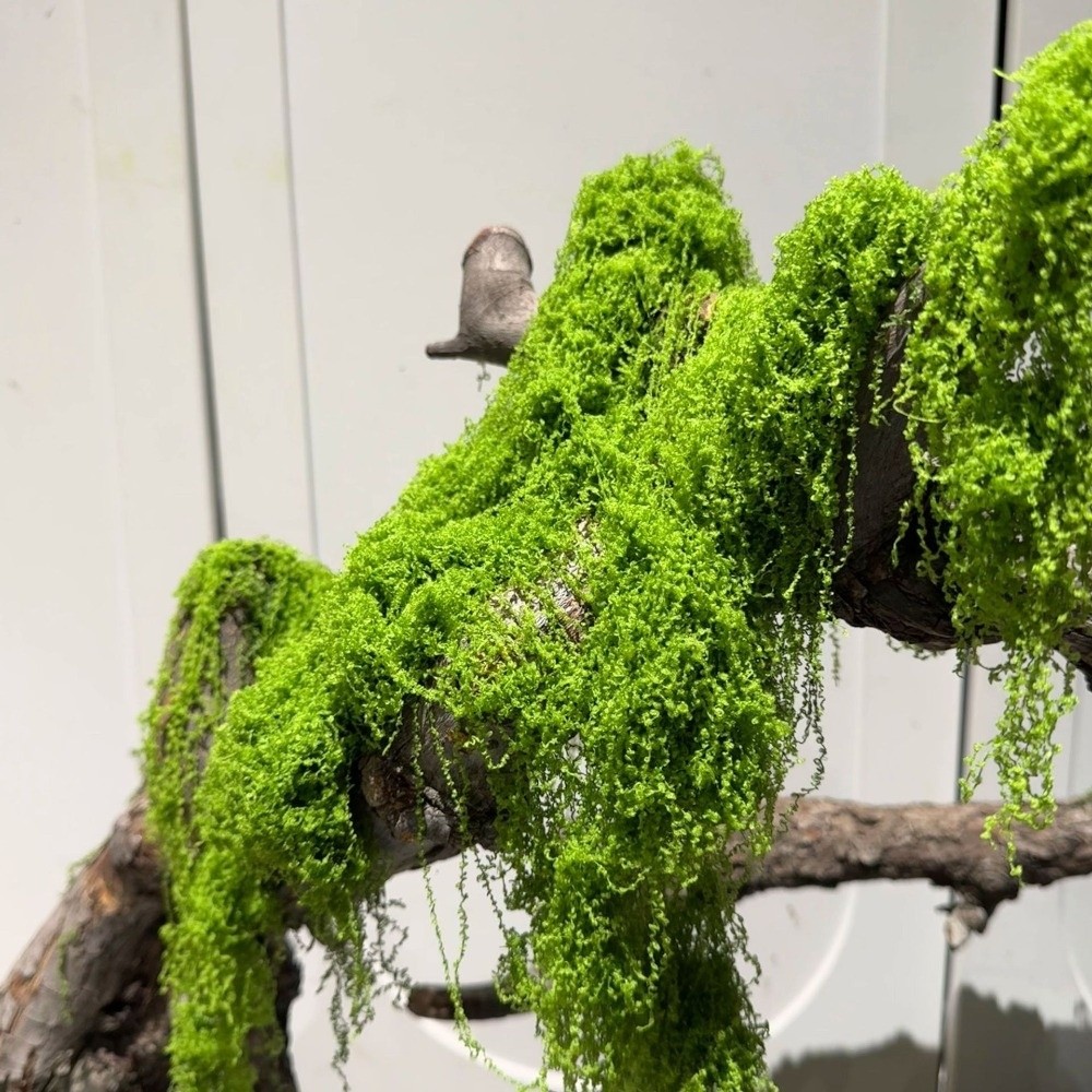 Terrarium Moss Art - Polyester Artificial Moss Plants DIY Craft