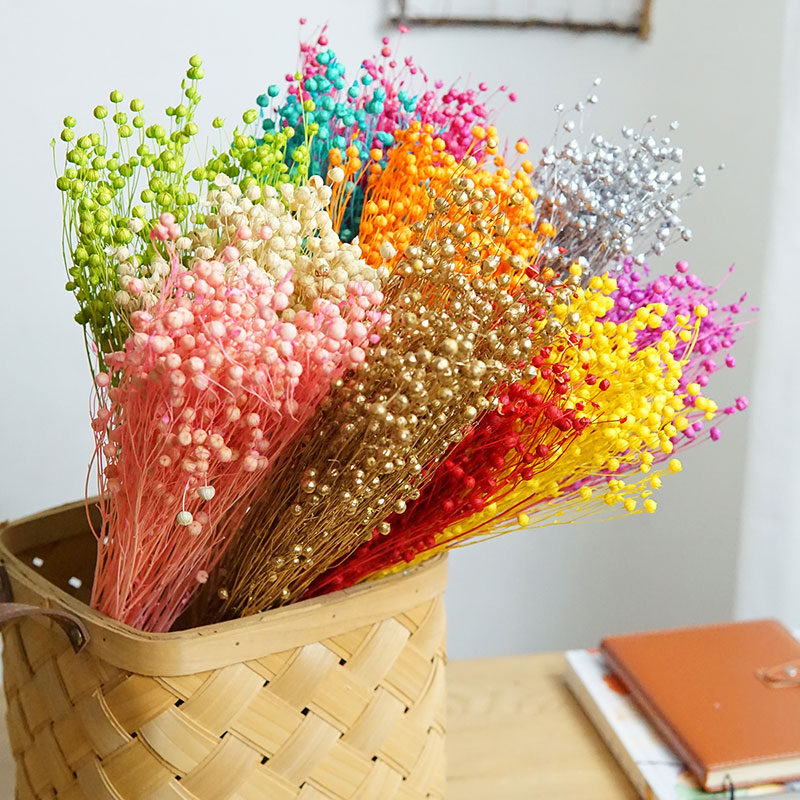 35g/Preserved Ormosia Hosiei N - Dried Flower Bulk 评论和价格