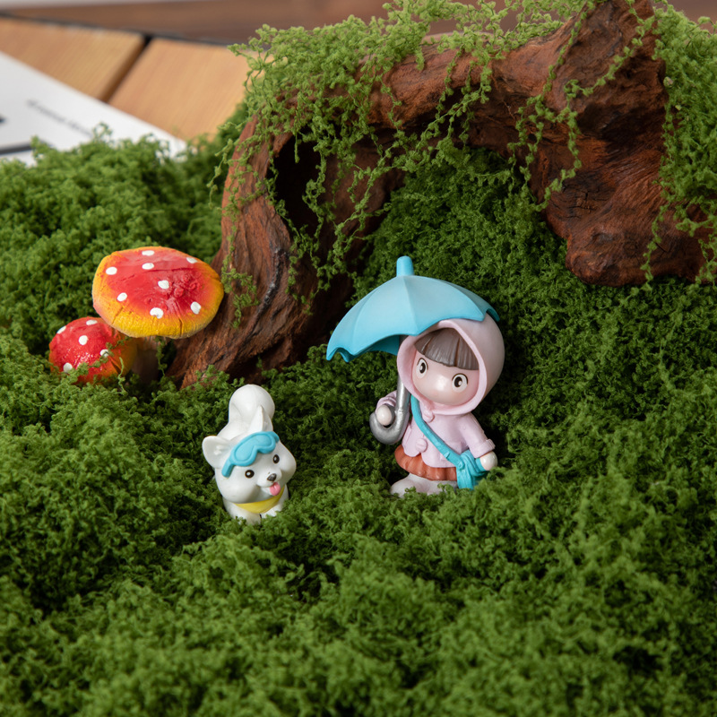 200g Eternal Life Moss DIY Cra - Terrarium Moss Art 评论和价格