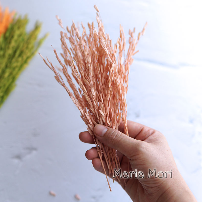 5g/Broomcorn Dyed Dried Nature - Dried Flower Bulk 评论和价格