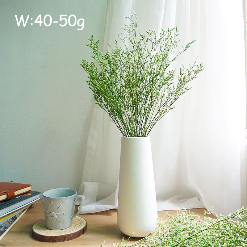 50g/Preserved Valentine's Gras - Dried Flower Bulk 评论和价格