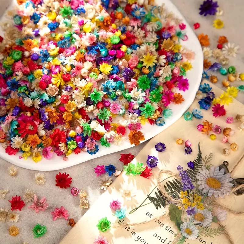 Mixed Colorful Flower for Wax  - Resin Craft Ideas 评论和价格