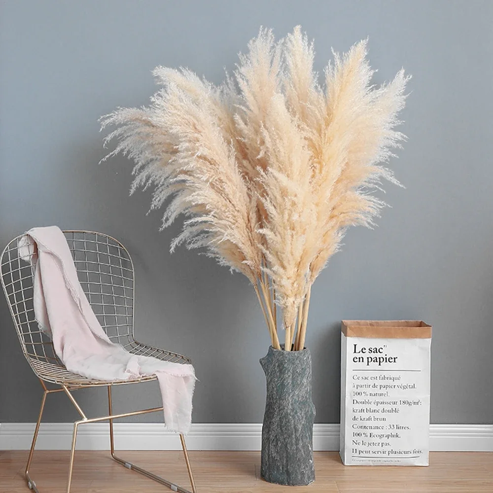 120cm - 130cm Fluffy Large Pam - Dried Flower Bulk 评论和价格