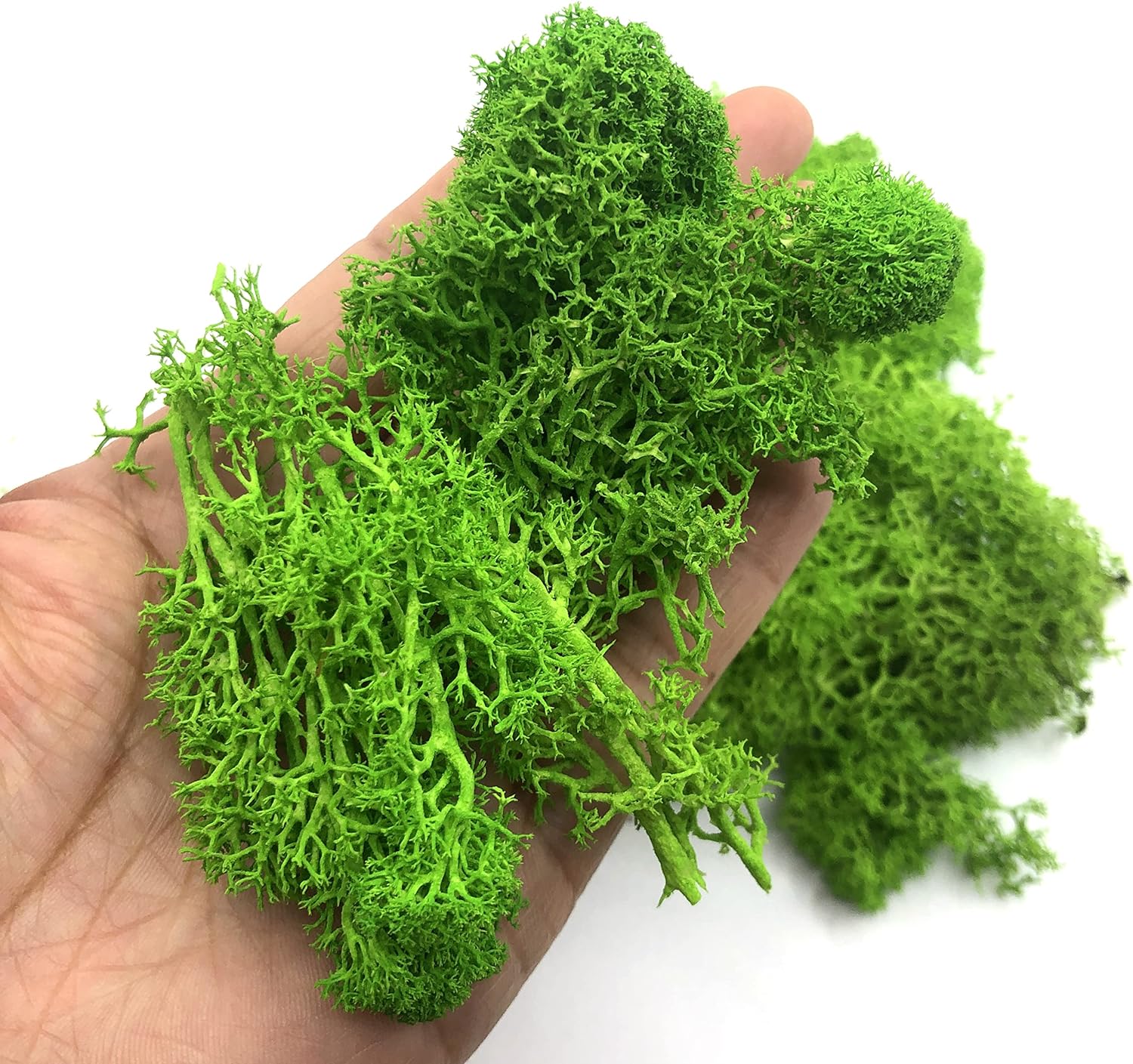 200g Artificial Green Plants M - Terrarium Moss Art 评论和价格