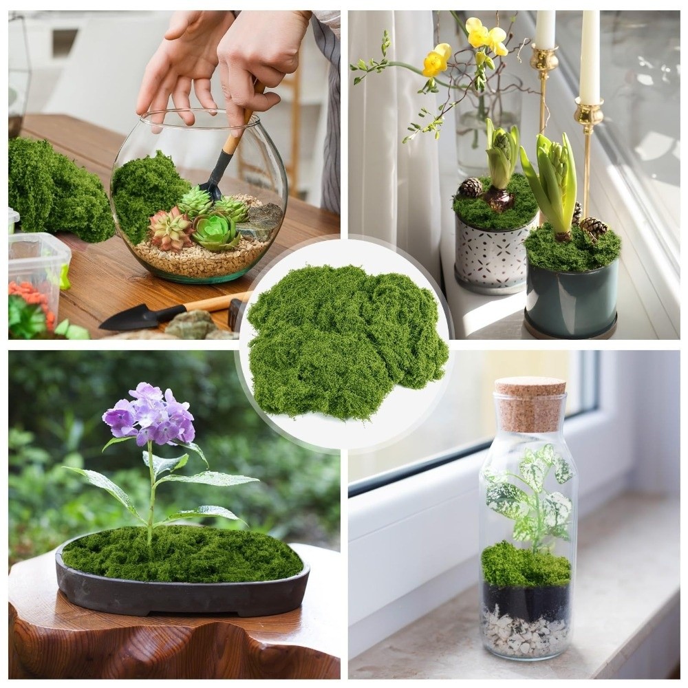 Polyester Artificial Moss Plan - Terrarium Moss Art 评论和价格