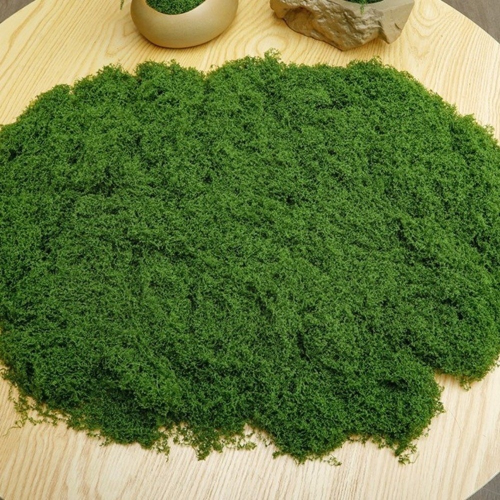 Polyester Artificial Moss Plan - Terrarium Moss Art 评论和价格