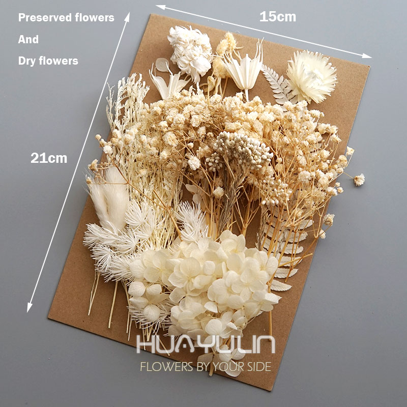 1 Pack Artificial Plants Dried - Dried Flower Bulk 评论和价格