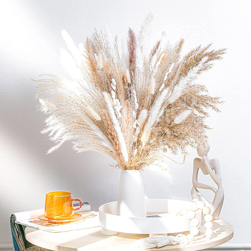 60-100PCS Natural Dried Pampas - Dried Flower Bulk 评论和价格