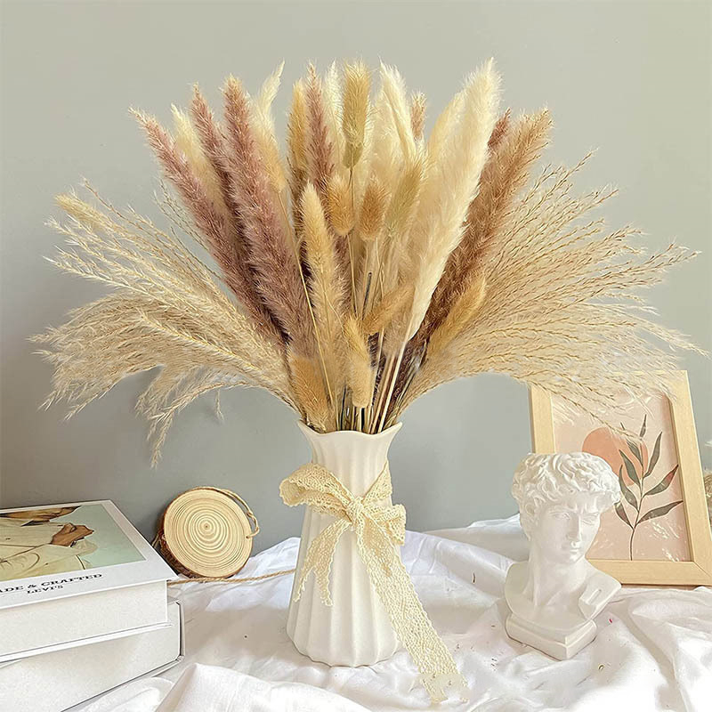 60-100PCS Natural Dried Pampas - Dried Flower Bulk 评论和价格