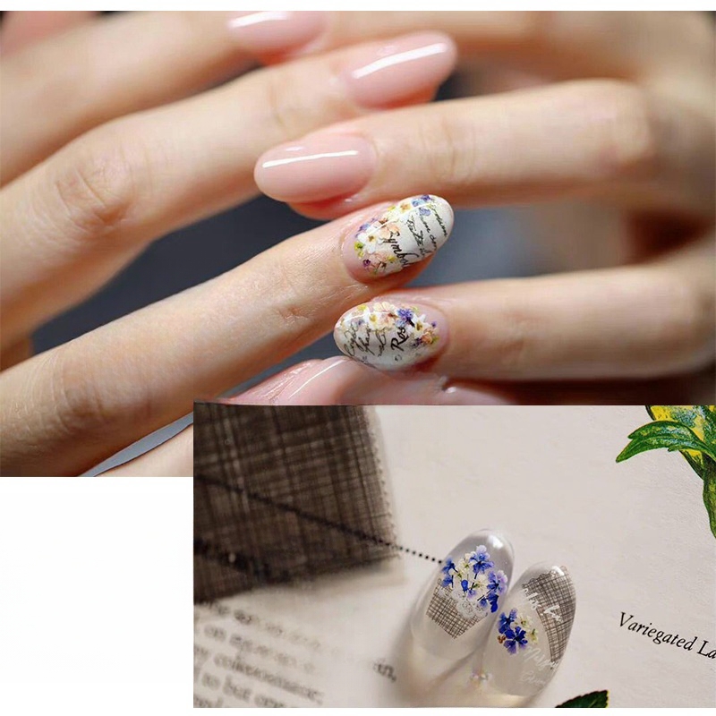 Mixed Small Dried Flowers Nail - Dried Flower Bulk 评论和价格